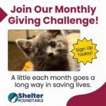 join our monthly giving challenge!