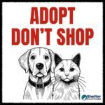 adopt don't shop