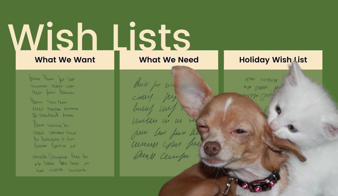 Wish Lists: What Every Animal Shelter Needs