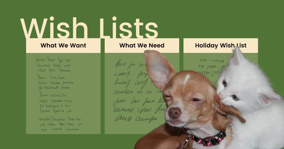 animal shelter wish lists