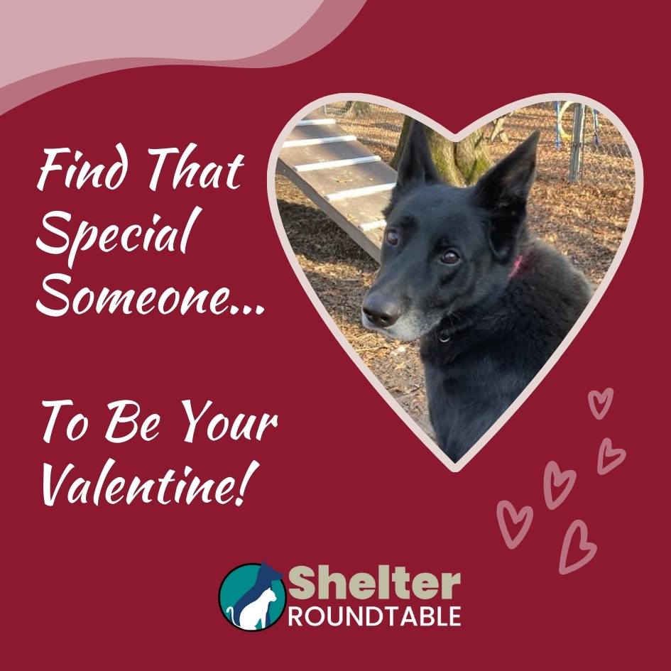 find special someone find special someone