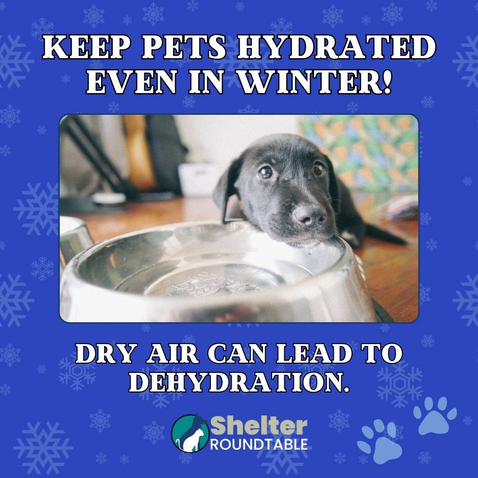 winter hydration winter hydration