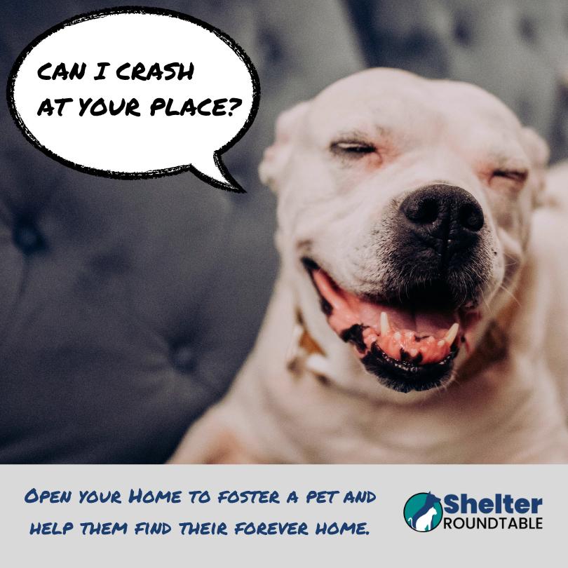 can i crash at your place can i crash at your place