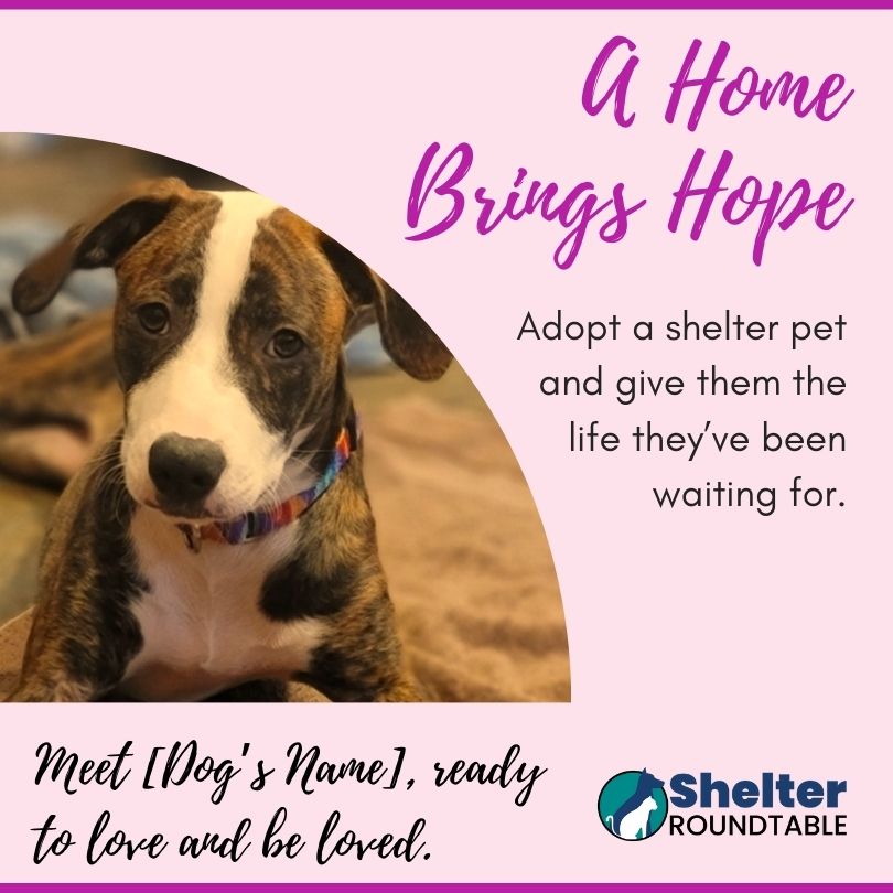 home brings hope home brings hope