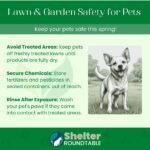 lawn & garden safety for pets