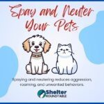 spay and neuter your pets