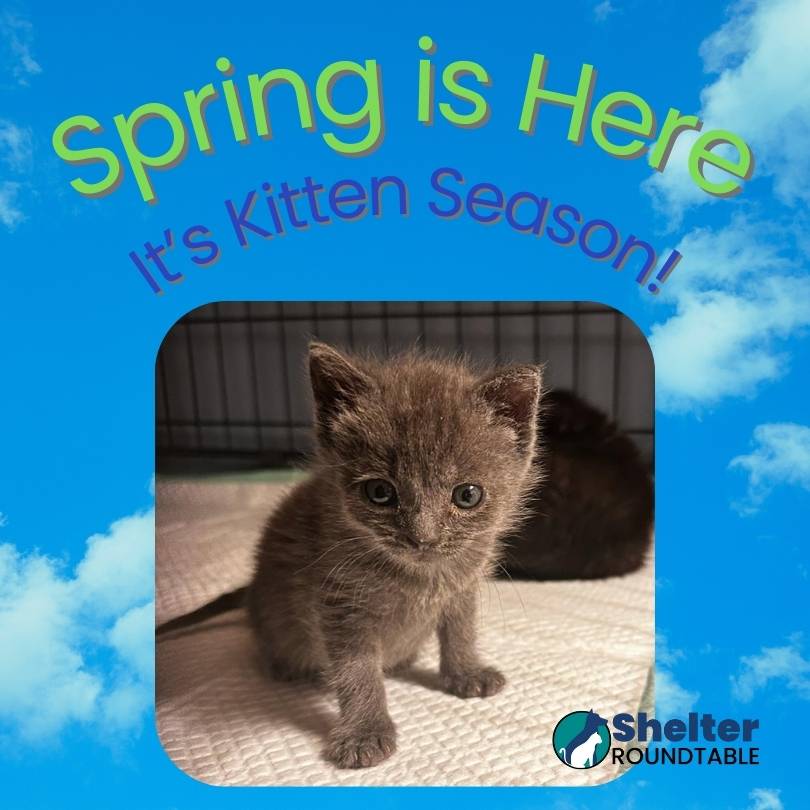 spring is here spring is here