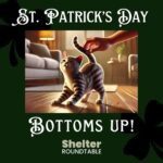 st patricks bottom up