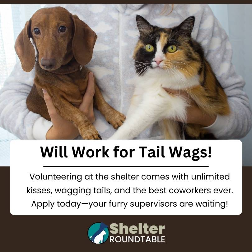 will work for tail wags!