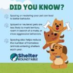 did you know spaying and neutering