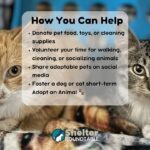 how you can help