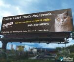 paw & order billboard cats
