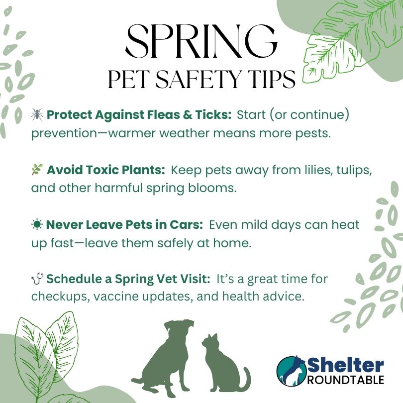 spring safety tips spring safety tips