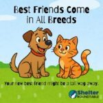 best friends come in all breeds