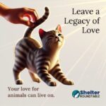 leave a legacy of love