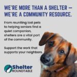more than a shelter