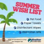 summer wish list