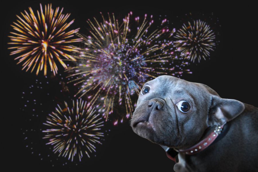 fireworks