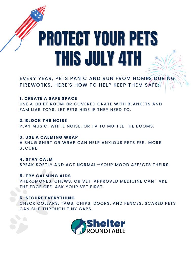 protect your pets this july 4th flyer