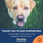 thank you to our supporters