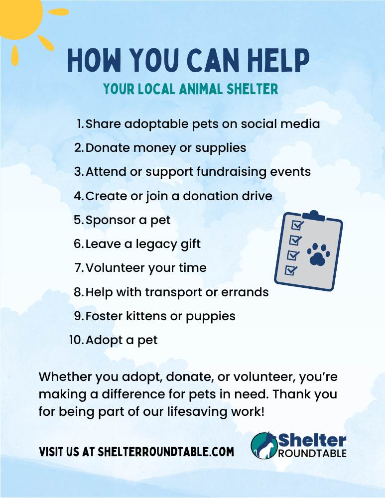 ways to help shelter flyer