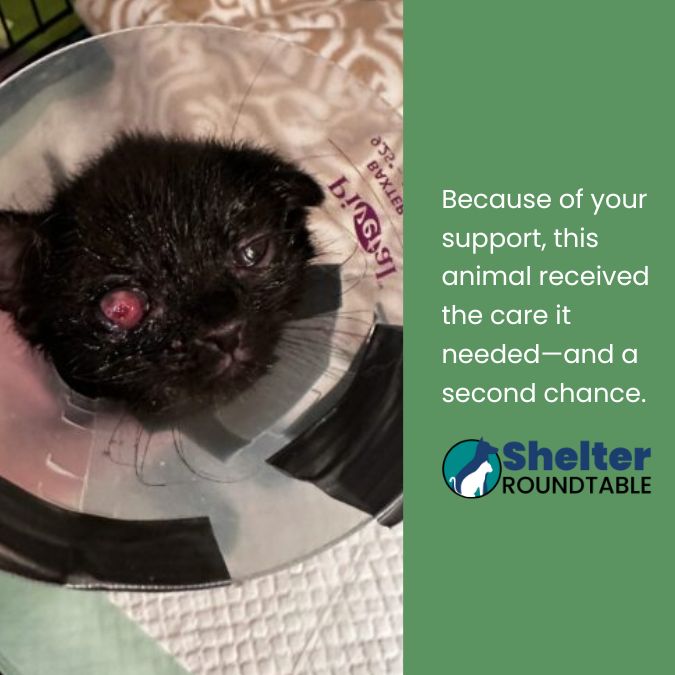 your donations at work