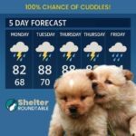 chance of cuddles