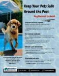 keep your pets safe around the pool flyer