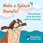 make a splash donate!