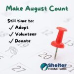 make august count