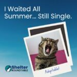 i waited all summer... still single.