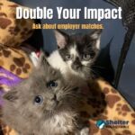 double your impact