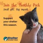 join the monthly pack
