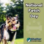 national fetch day