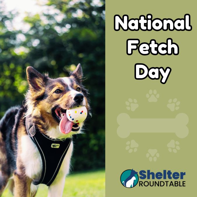 national fetch day national fetch day