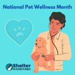 national pet wellness month