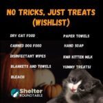 no tricks, just treats (wishlist)
