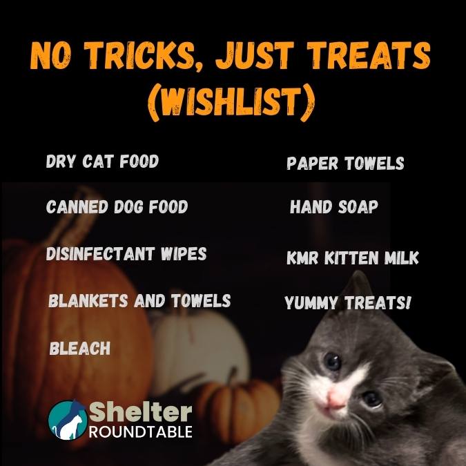 no tricks, just treats (wishlist) no tricks, just treats (wishlist)