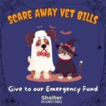 scare away vet bills
