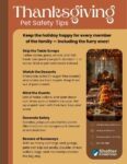 flyer thanksgiving pet safety tips