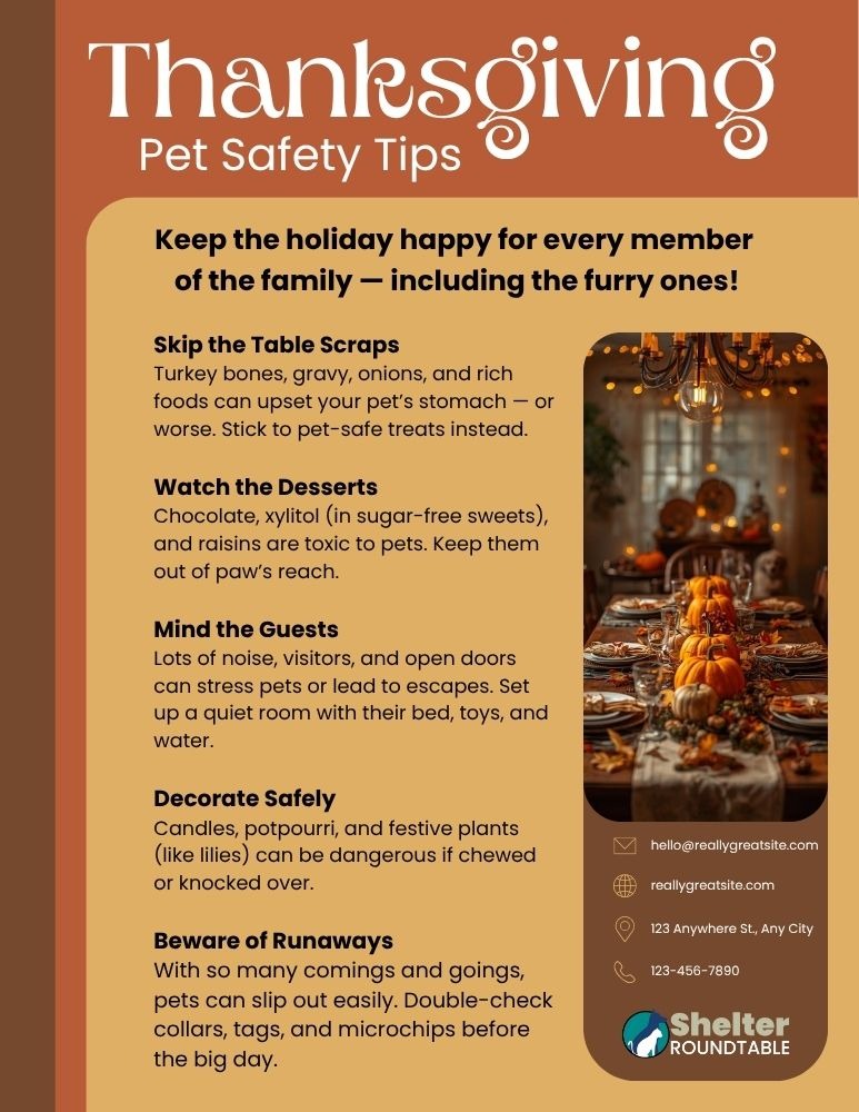 flyer thanksgiving pet safety tips flyer thanksgiving pet safety tips