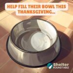 help fill their bowl this thanksgiving