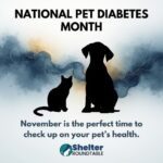 national pet diabetes month