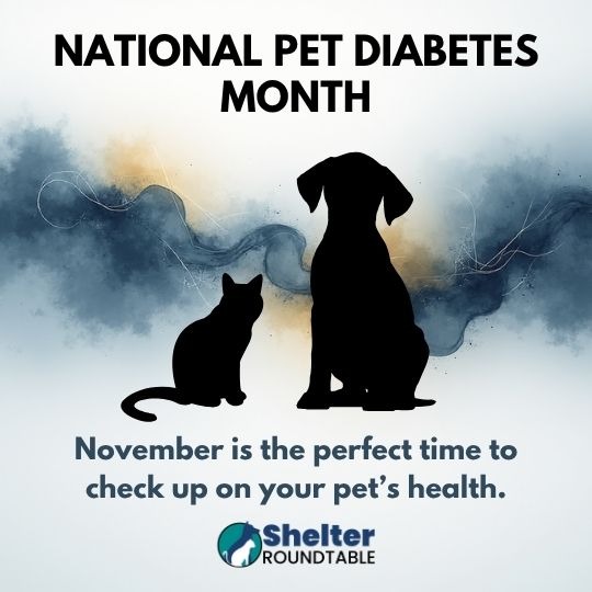 national pet diabetes month