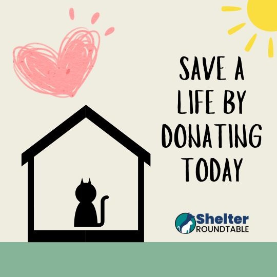 save a life today save a life today