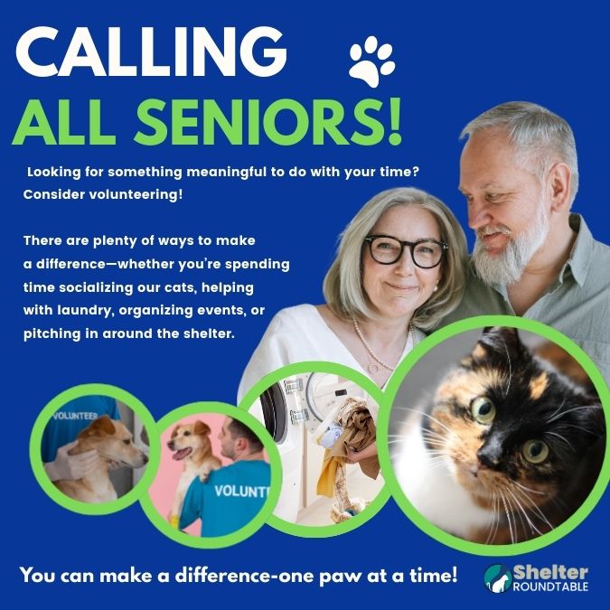 calling all seniors (1080 x 1080 px) calling all seniors (1080 x 1080 px)