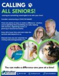 calling all seniors flyer