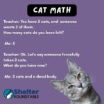 cat math