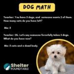 dog math
