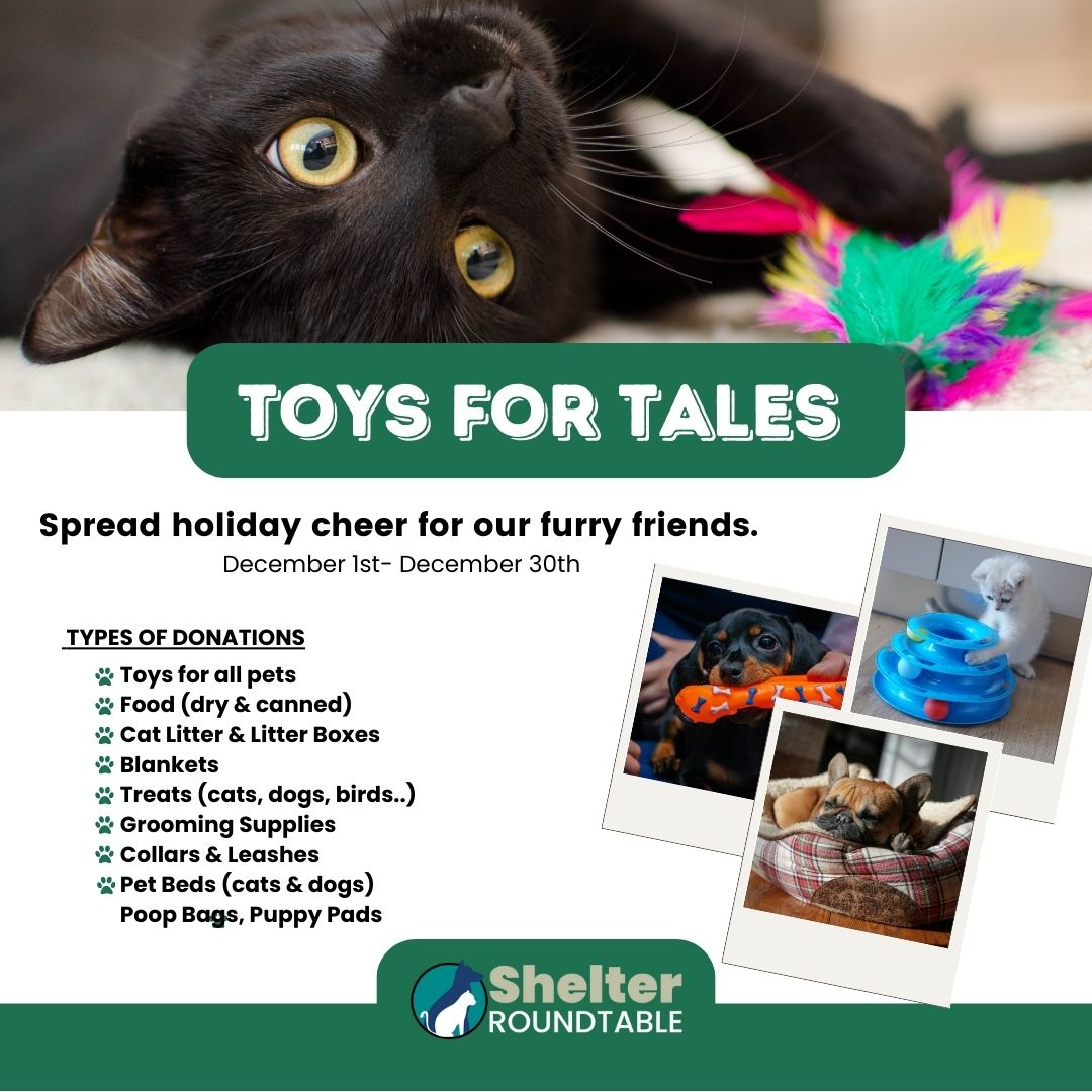 toys for tales (1080 x 1080 px) toys for tales (1080 x 1080 px)